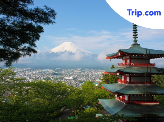 Tripdotcom-Thumbnail