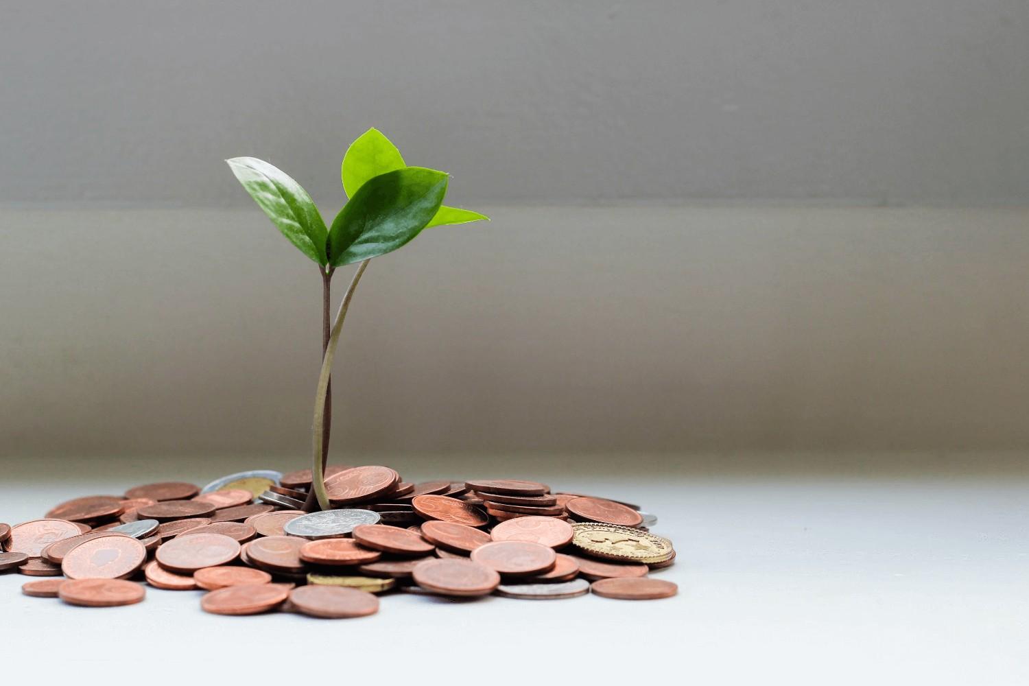 Financing Solutions