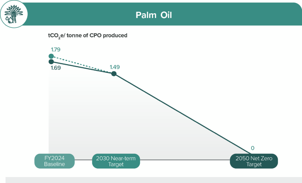 Palm Oil Graph