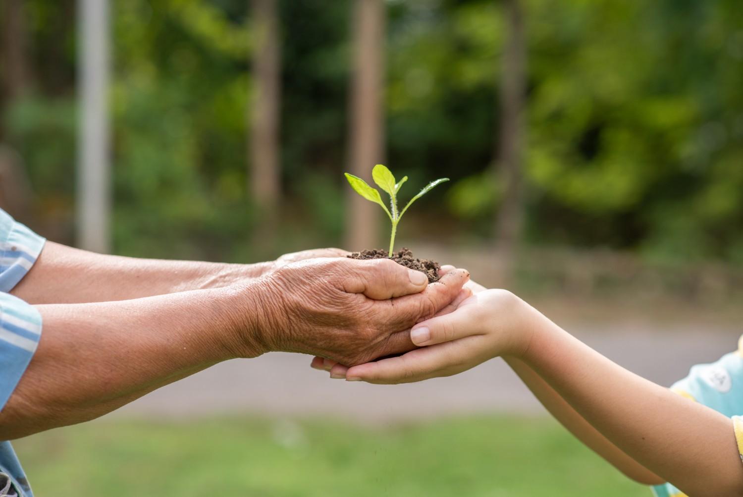 Sustainability Culture